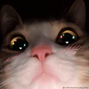 HmphCat
